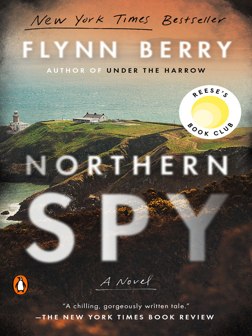 Cover image for Northern Spy
